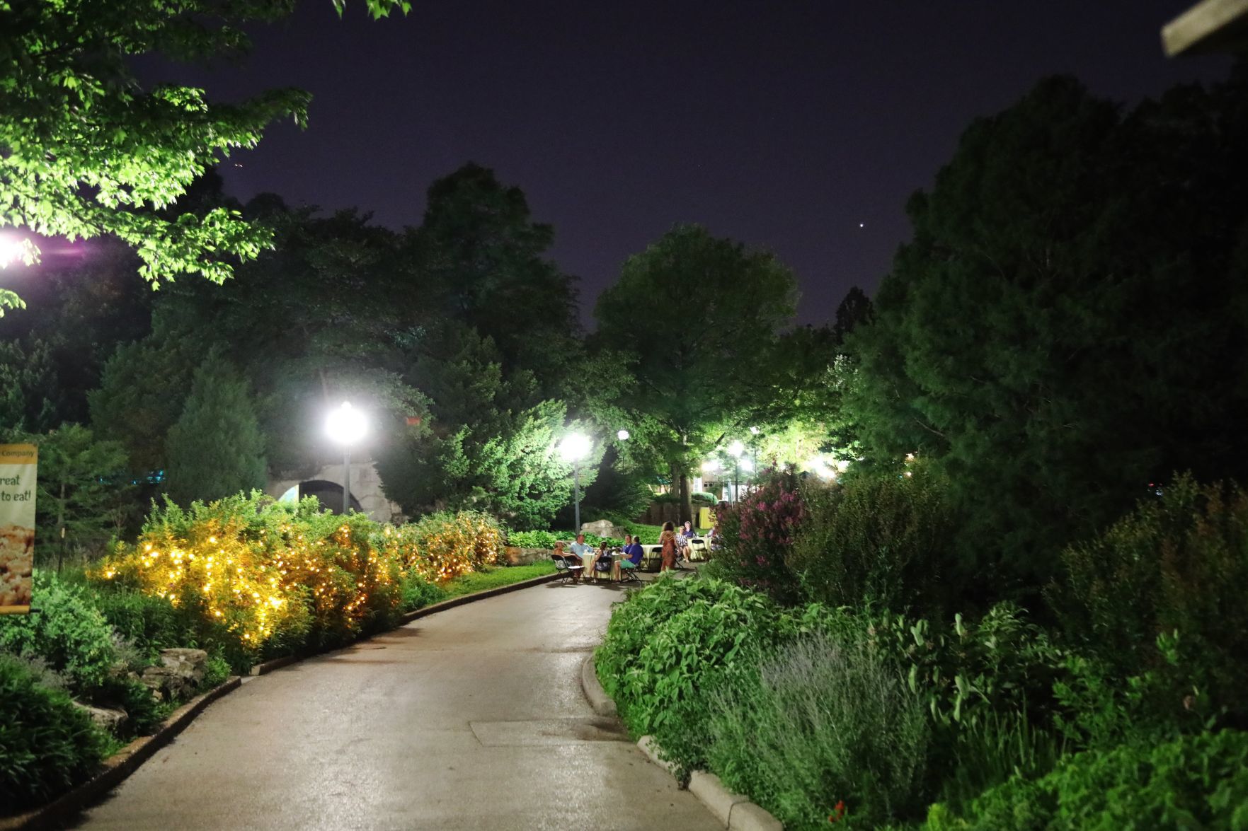 2018-Zoo-Ado-056.JPG